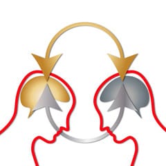 Arrows connecting 2 heads