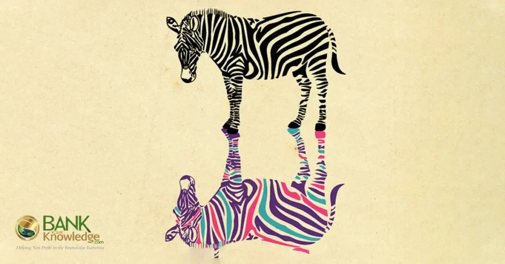 zebra-in-two-different-colors