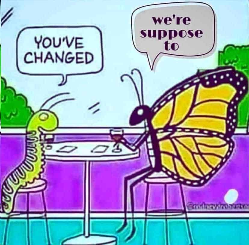 change butterfly youve changed were supposed to